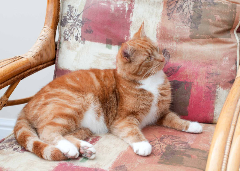DSC_8548.jpg
