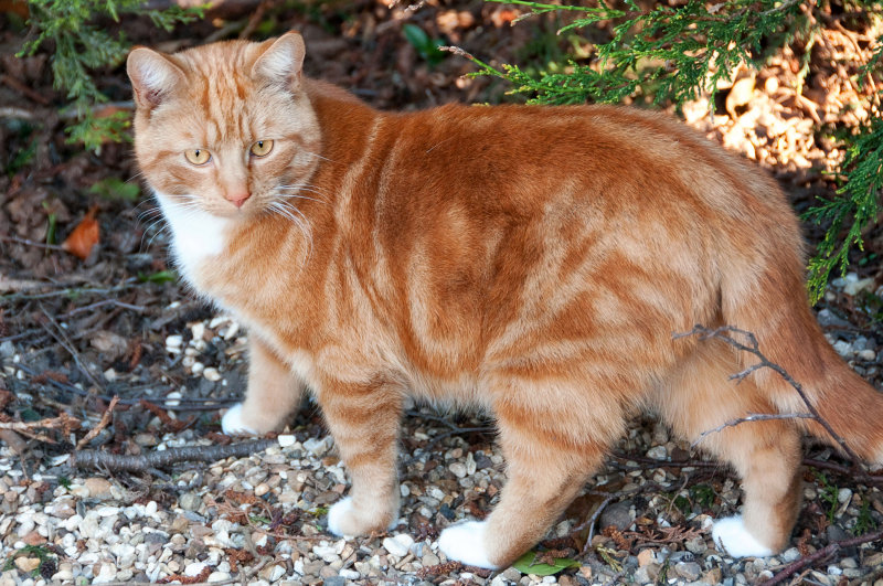 DSC_9295.jpg