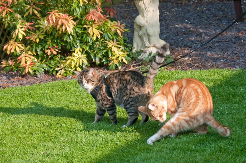 DSC_2129.jpg