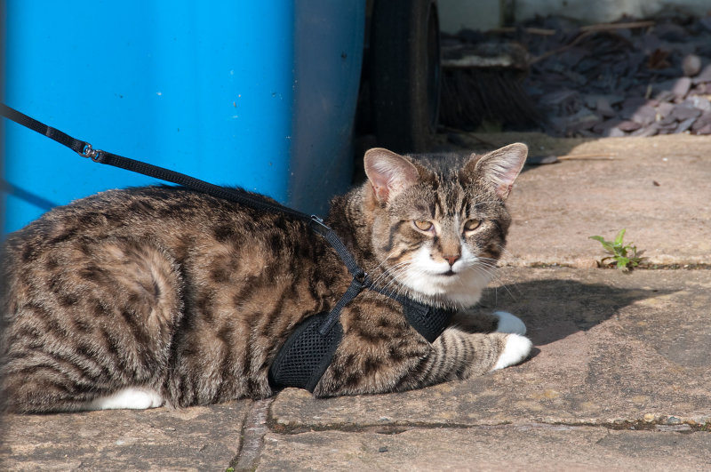 DSC_2226.jpg
