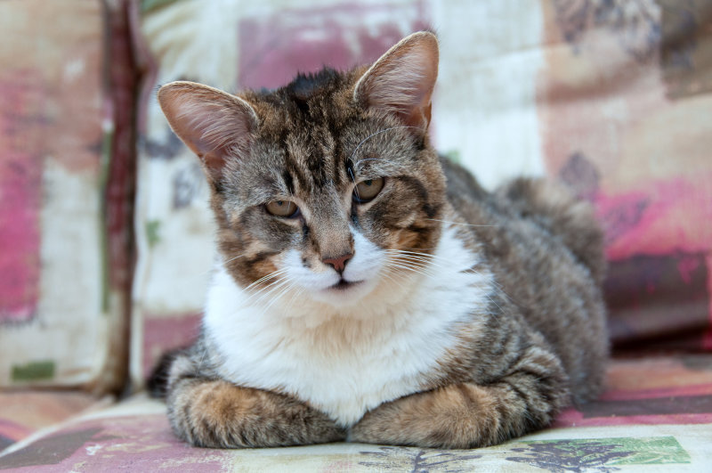 DSC_4354.jpg