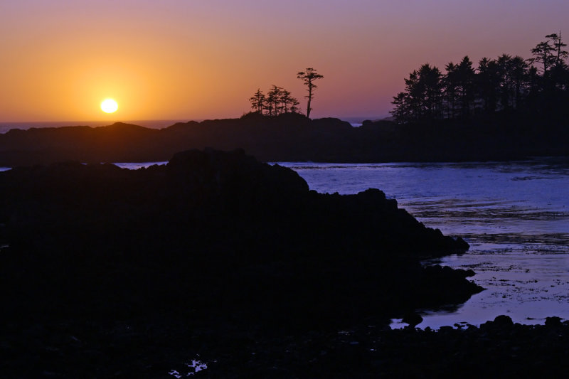Pacific Rim National Park & Area