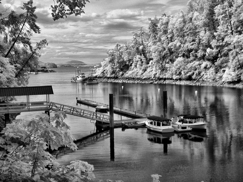 Butchart Gardens in Colour and Infrared