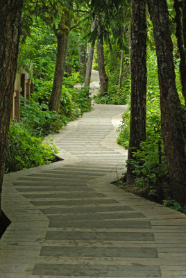 Boardwalk to Cox Bay