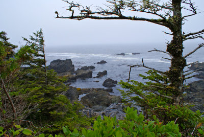 Wild Pacific Trail - Ucluelet