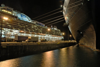 MS Crown Princess and MS Westerdam