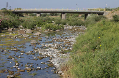 Dragonflies of Lesvos 