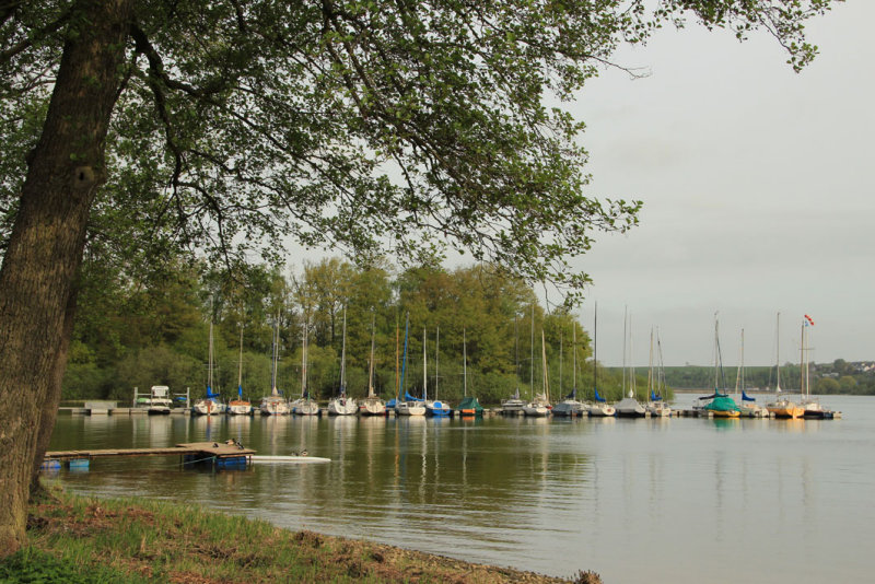 Mohnesee