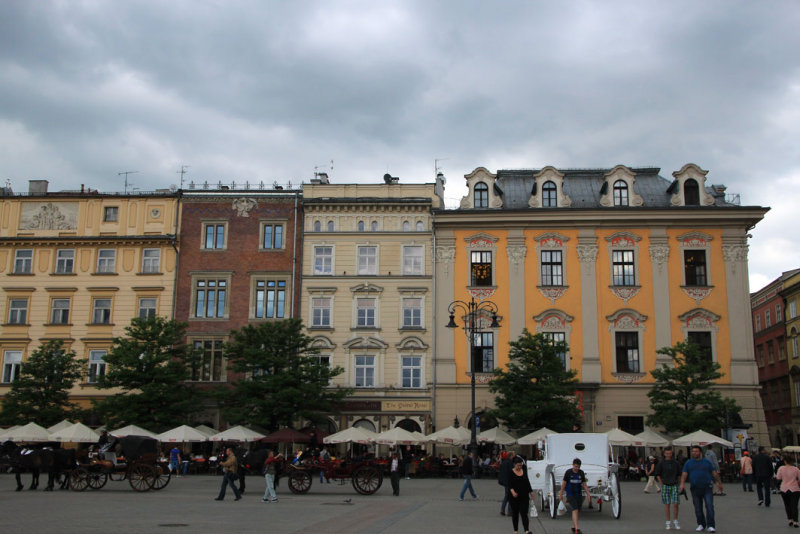 IMG_4655.JPG