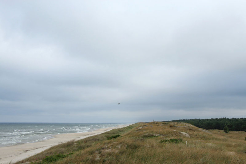 Curonian Spit