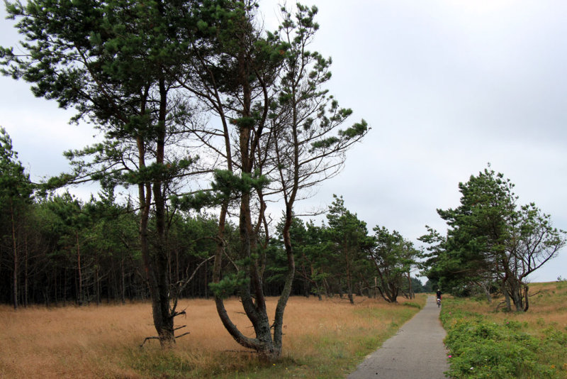 Curonian Spit