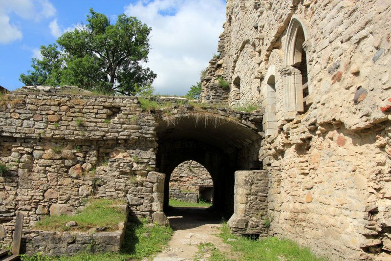Padise 