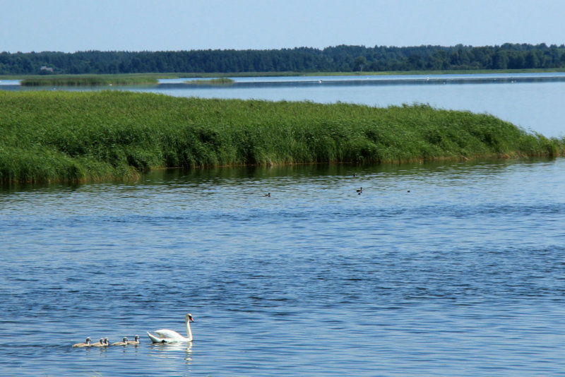 Saaremaa / Muhu
