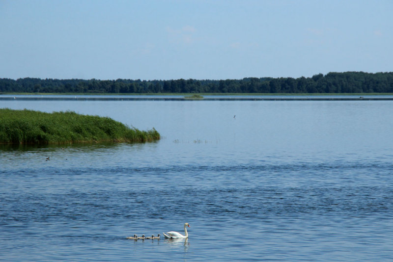Saaremaa / Muhu