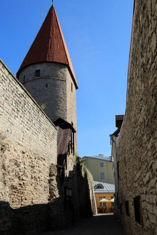 IMG_6538.JPG