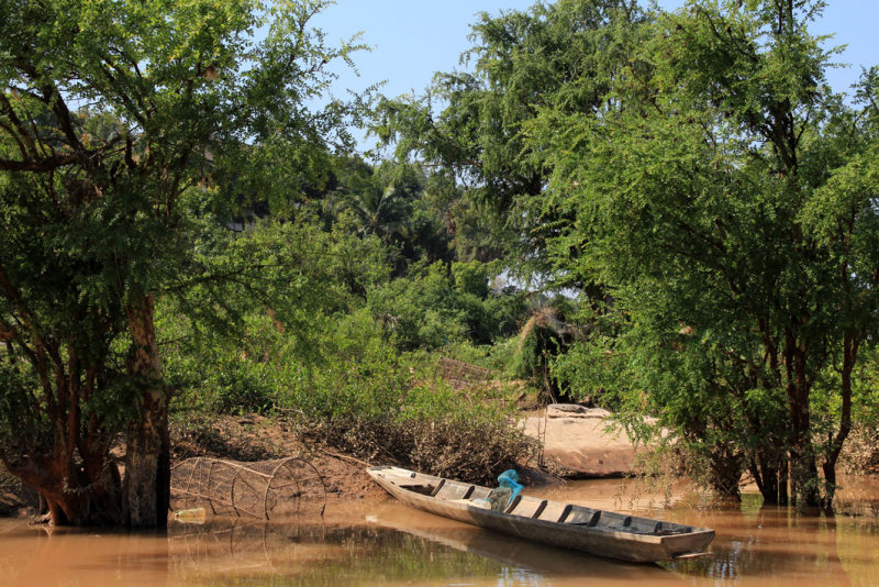 Along the Mekong
