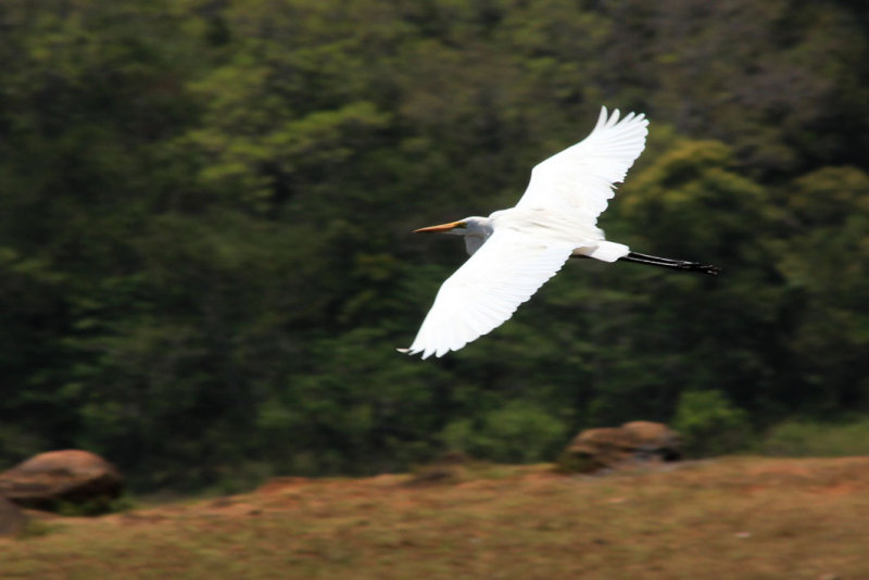 IMG_1076.JPG