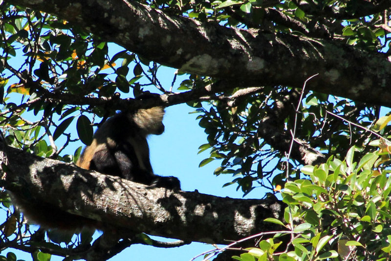 Parque Nacional Rincon de la Vieja