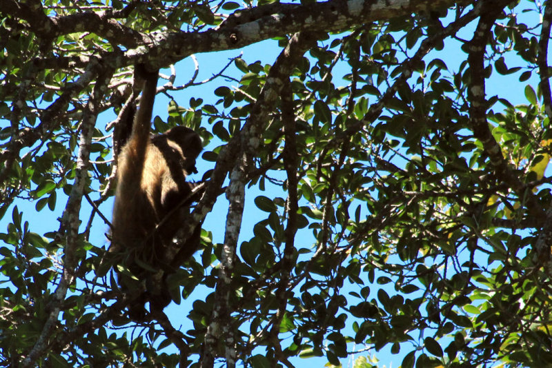 Parque Nacional Rincon de la Vieja