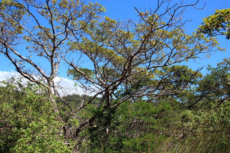 Parque Nacional Rincon de la Vieja