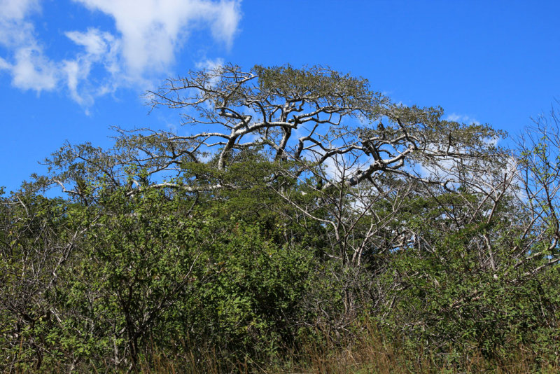 Parque Nacional Rincon de la Vieja