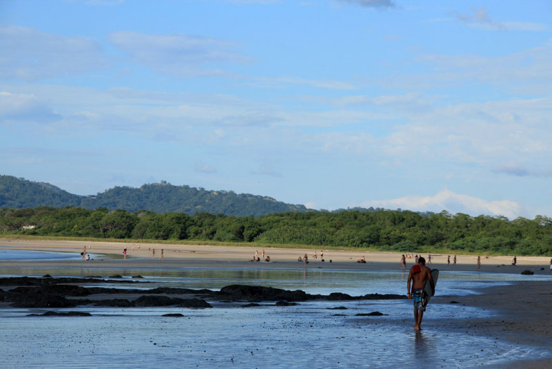 Tamarindo
