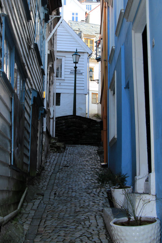 IMG_5826.JPG