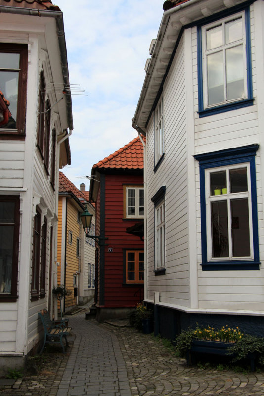 IMG_5883.JPG