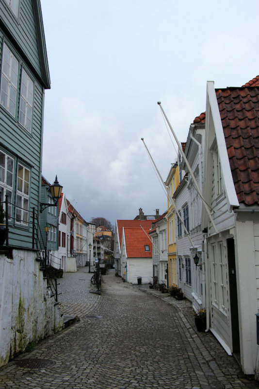 IMG_7977.JPG