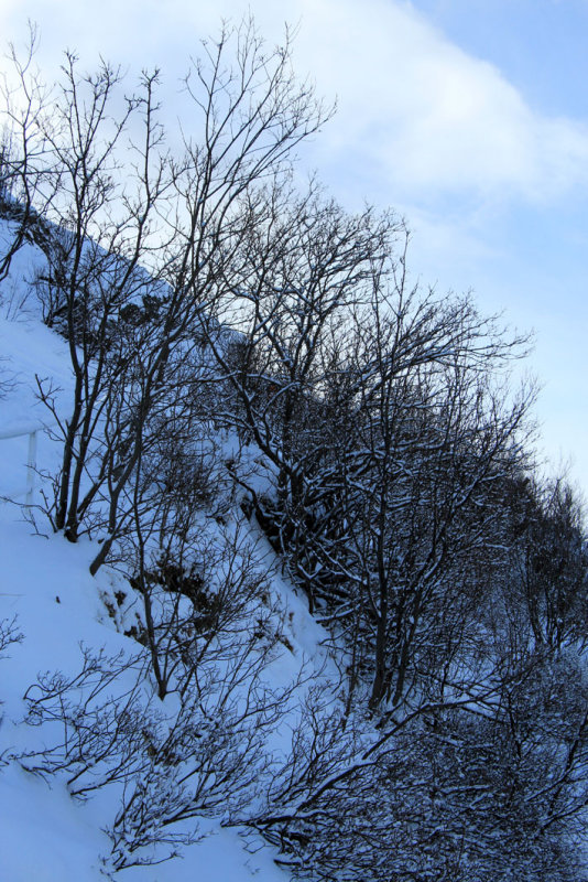 IMG_7308.JPG