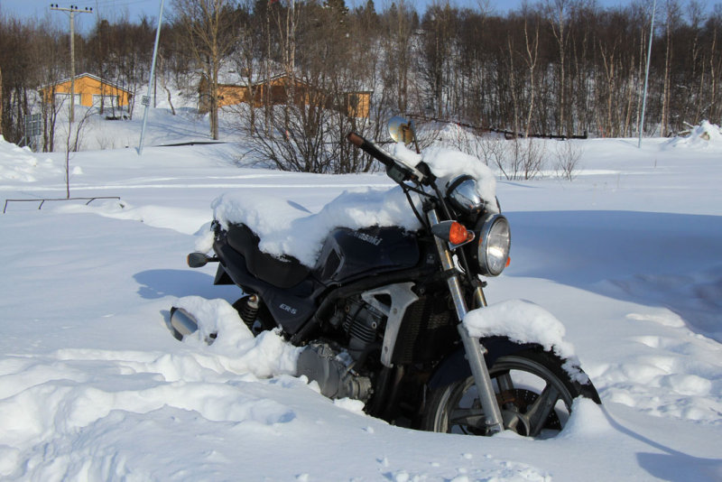 IMG_7123.JPG