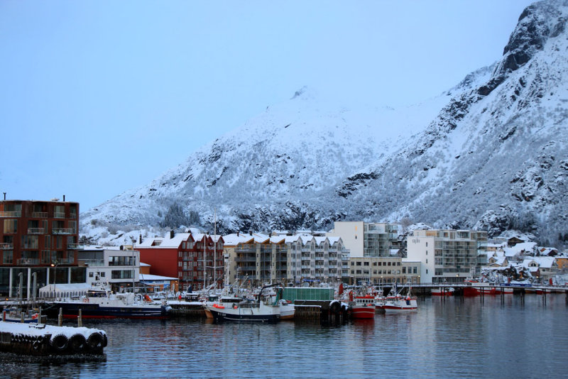 IMG_7533.JPG