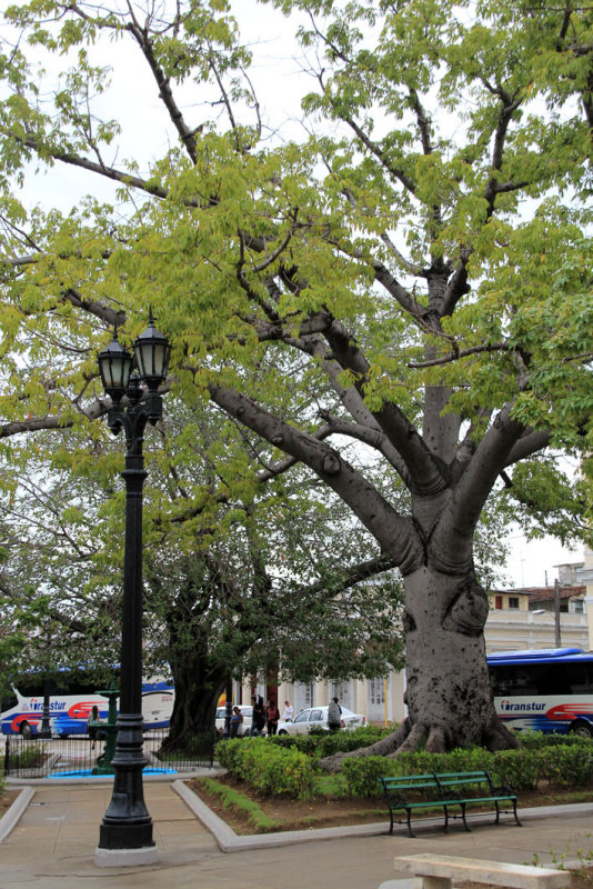 Cienfuegos
