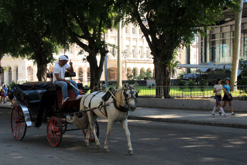 IMG_8342.JPG