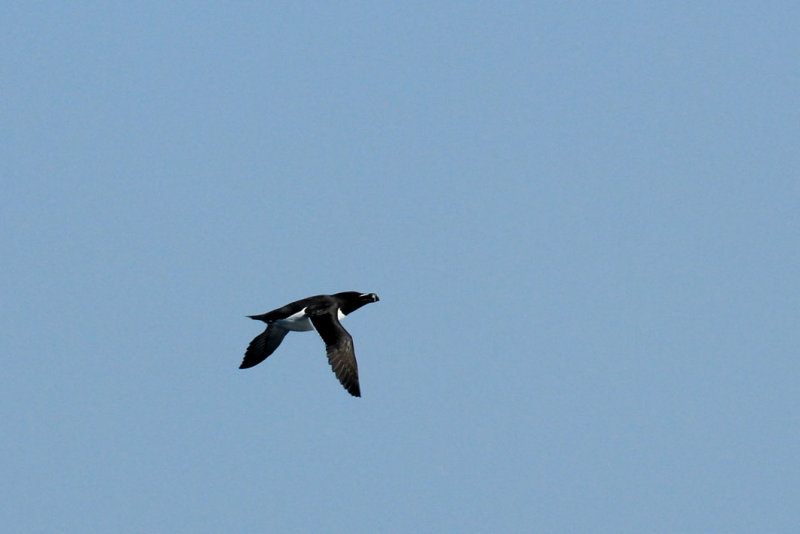 around Gjesvrstappan