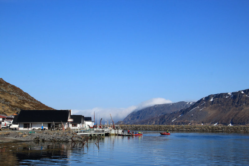 Skarsvg