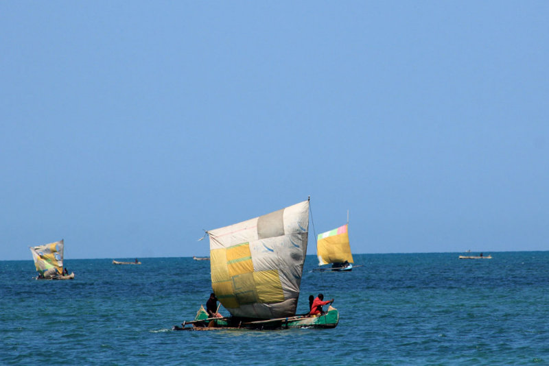 IMG_3330.JPG