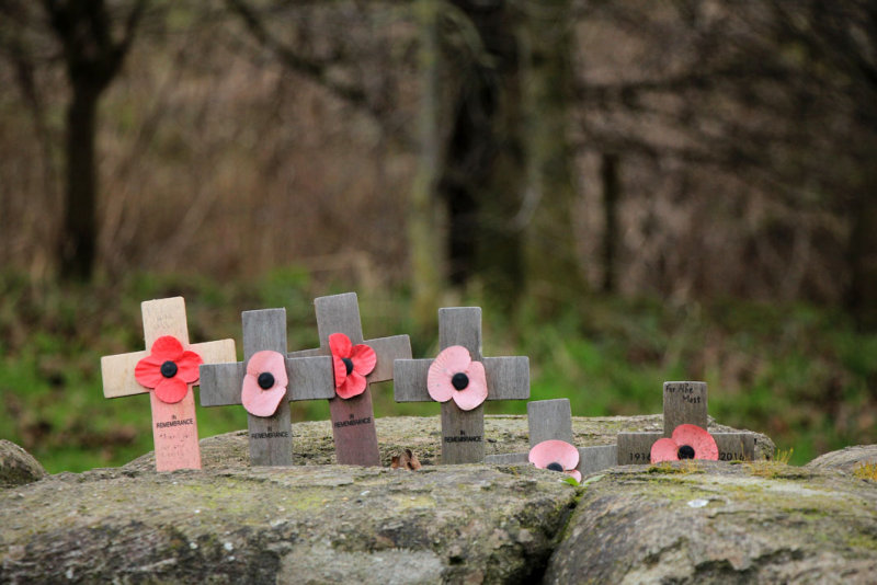Ypres - Yorkshire Trench