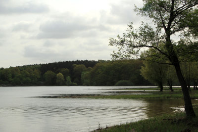 Mohnesee