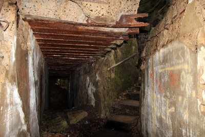 Wolfsschanze