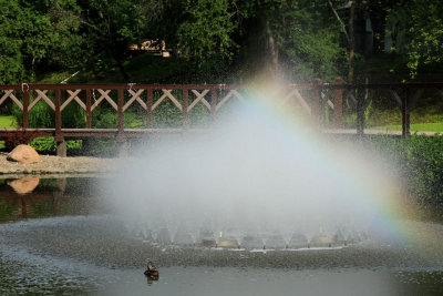 Kuldiga