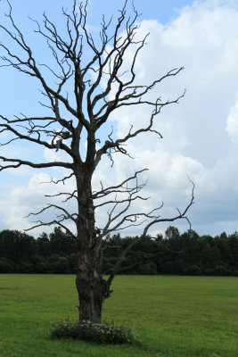 Saaremaa 