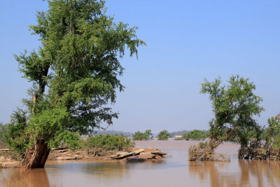 Along the Mekong