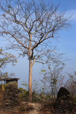 Phu Asa