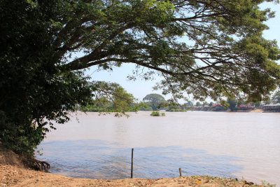 Along the Mekong