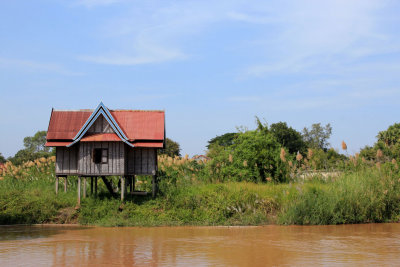 Along the Mekong