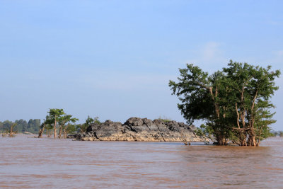 Along the Mekong