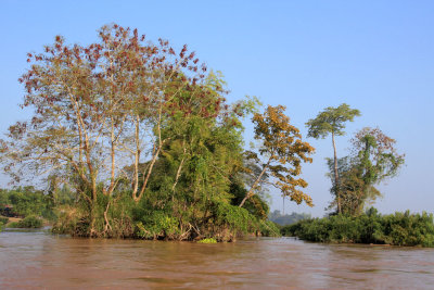 Along the Mekong