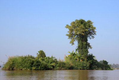 Along the Mekong