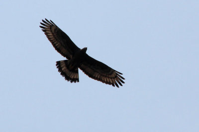 IMG_1629.JPG